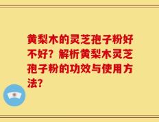 黄梨木的灵芝孢子粉好不好？解析黄梨木灵芝孢子粉的功效与使用方法？