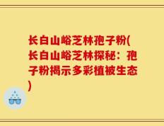 长白山峪芝林孢子粉(长白山峪芝林探秘：孢子粉揭示多彩植被生态)