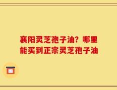 襄阳灵芝孢子油？哪里能买到正宗灵芝孢子油