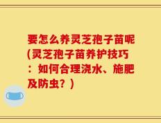 要怎么养灵芝孢子苗呢(灵芝孢子苗养护技巧：如何合理浇水、施肥及防虫？)