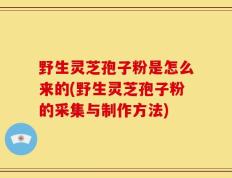 野生灵芝孢子粉是怎么来的(野生灵芝孢子粉的采集与制作方法)