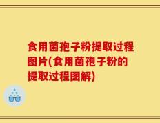 食用菌孢子粉提取过程图片(食用菌孢子粉的提取过程图解)