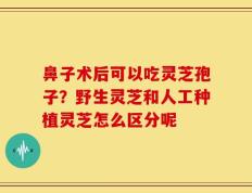 鼻子术后可以吃灵芝孢子？野生灵芝和人工种植灵芝怎么区分呢