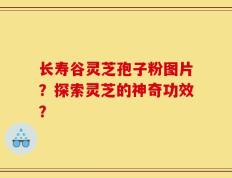 长寿谷灵芝孢子粉图片？探索灵芝的神奇功效？