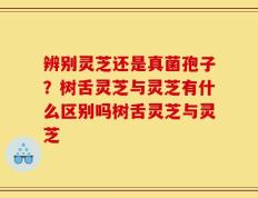 辨别灵芝还是真菌孢子？树舌灵芝与灵芝有什么区别吗树舌灵芝与灵芝