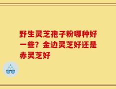 野生灵芝孢子粉哪种好一些？金边灵芝好还是赤灵芝好