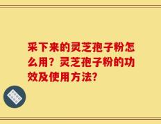 采下来的灵芝孢子粉怎么用？灵芝孢子粉的功效及使用方法？
