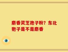麝香灵芝孢子粉？东北狍子是不是麝香