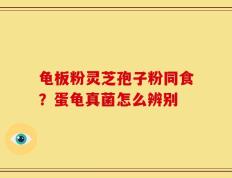龟板粉灵芝孢子粉同食？蛋龟真菌怎么辨别