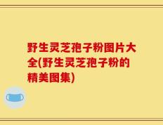 野生灵芝孢子粉图片大全(野生灵芝孢子粉的精美图集)