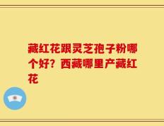 藏红花跟灵芝孢子粉哪个好？西藏哪里产藏红花
