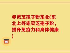 赤灵芝孢子粉东北(东北上等赤灵芝孢子粉，提升免疫力和身体健康)