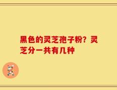 黑色的灵芝孢子粉？灵芝分一共有几种