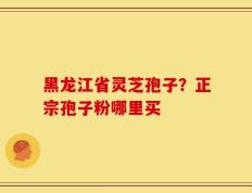 黑龙江省灵芝孢子？正宗孢子粉哪里买