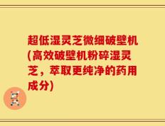 超低湿灵芝微细破壁机(高效破壁机粉碎湿灵芝，萃取更纯净的药用成分)