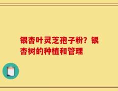银杏叶灵芝孢子粉？银杏树的种植和管理
