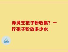 赤灵芝孢子粉收集？一斤孢子粉放多少水
