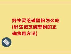 野生灵芝破壁粉怎么吃(野生灵芝破壁粉的正确食用方法)