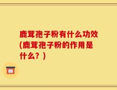 鹿茸孢子粉有什么功效(鹿茸孢子粉的作用是什么？)