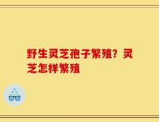 野生灵芝孢子繁殖？灵芝怎样繁殖