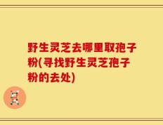 野生灵芝去哪里取孢子粉(寻找野生灵芝孢子粉的去处)