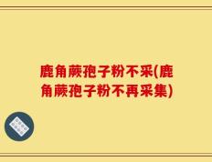 鹿角蕨孢子粉不采(鹿角蕨孢子粉不再采集)