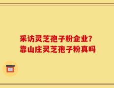 采访灵芝孢子粉企业？靠山庄灵芝孢子粉真吗