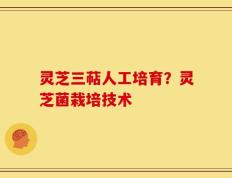 灵芝三萜人工培育？灵芝菌栽培技术