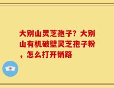 大别山灵芝孢子？大别山有机破壁灵芝孢子粉，怎么打开销路