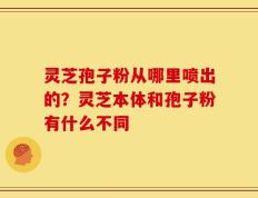 灵芝孢子粉从哪里喷出的？灵芝本体和孢子粉有什么不同