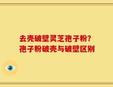去壳破壁灵芝孢子粉？孢子粉破壳与破壁区别