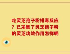 吃灵芝孢子粉排毒反应？已采集了灵芝孢子粉的灵芝功效作用怎样呢
