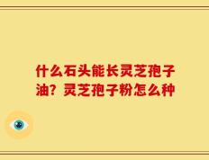 什么石头能长灵芝孢子油？灵芝孢子粉怎么种