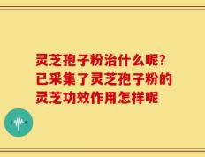 灵芝孢子粉治什么呢？已采集了灵芝孢子粉的灵芝功效作用怎样呢