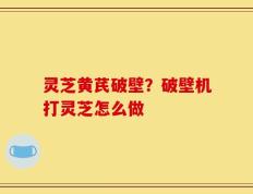 灵芝黄芪破壁？破壁机打灵芝怎么做