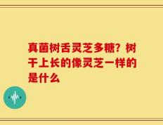 真菌树舌灵芝多糖？树干上长的像灵芝一样的是什么