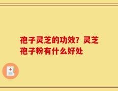 孢子灵芝的功效？灵芝孢子粉有什么好处