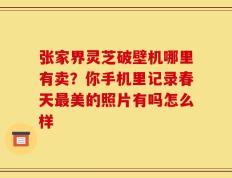 张家界灵芝破壁机哪里有卖？你手机里记录春天最美的照片有吗怎么样