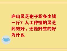 庐山灵芝孢子粉多少钱一斤？人工种植的灵芝药效好，还是野生的好为什么