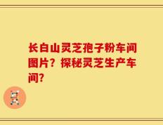 长白山灵芝孢子粉车间图片？探秘灵芝生产车间？