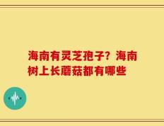 海南有灵芝孢子？海南树上长蘑菇都有哪些