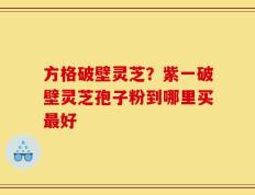 方格破壁灵芝？紫一破壁灵芝孢子粉到哪里买最好