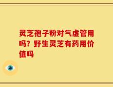 灵芝孢子粉对气虚管用吗？野生灵芝有药用价值吗