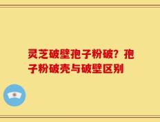 灵芝破壁孢子粉破？孢子粉破壳与破壁区别