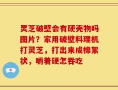 灵芝破壁会有硬壳物吗图片？家用破壁料理机打灵芝，打出来成棉絮状，嚼着硬怎吞吃