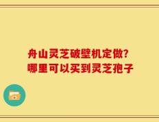 舟山灵芝破壁机定做？哪里可以买到灵芝孢子
