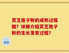 灵芝孢子粉的成熟过程图？详细介绍灵芝孢子粉的生长发育过程？