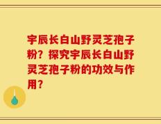 宇辰长白山野灵芝孢子粉？探究宇辰长白山野灵芝孢子粉的功效与作用？
