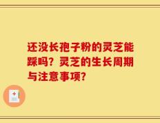 还没长孢子粉的灵芝能踩吗？灵芝的生长周期与注意事项？