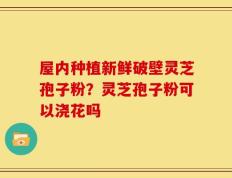 屋内种植新鲜破壁灵芝孢子粉？灵芝孢子粉可以浇花吗